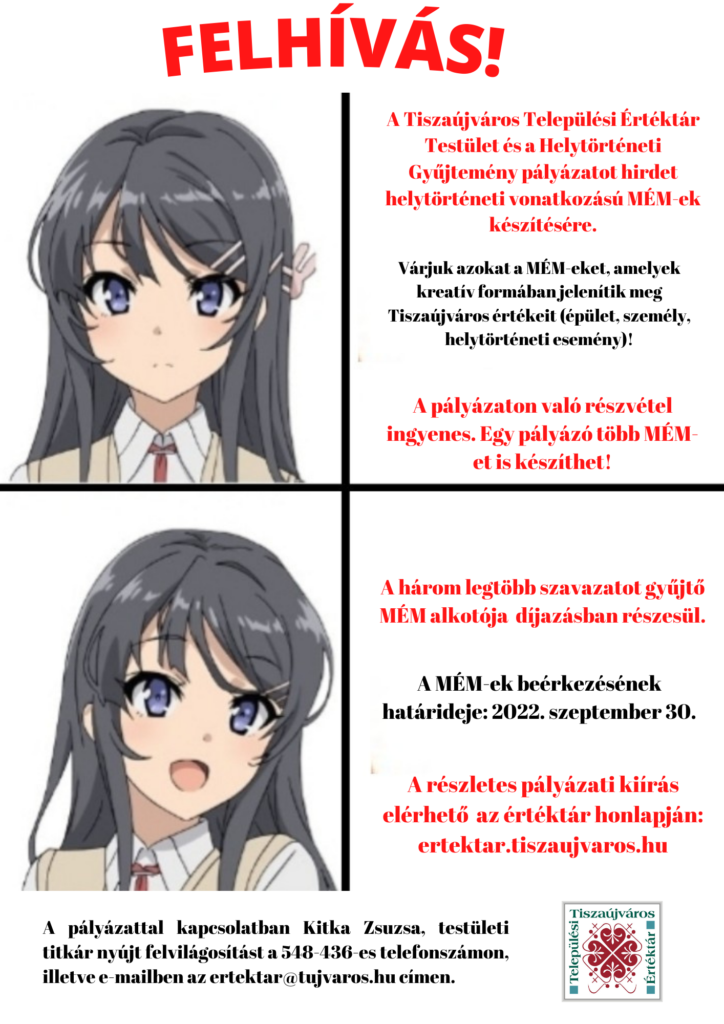 MEM palyazati felhivas